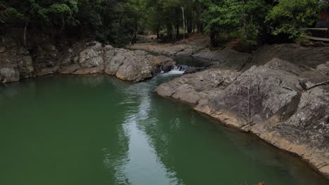 Tree-Branch-Floating-On-The-Still-Water-Of-Currumbin-Valley-Rock-Pools-In-Gold-Coast,-Australia