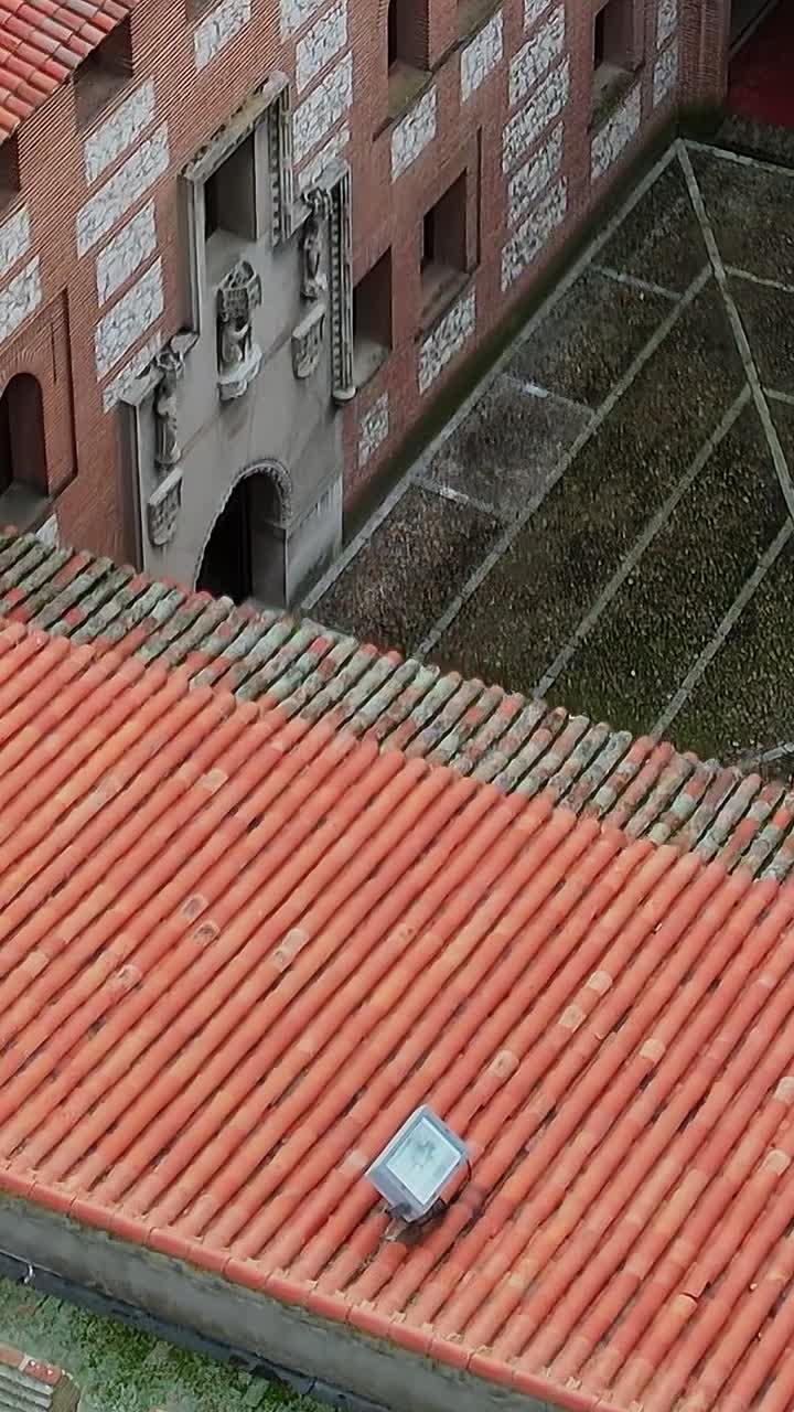 Pineta vicino alle mura del castello, vista aerea