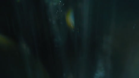 gotas de agua dulce clara caen sobre un fondo oscuro
