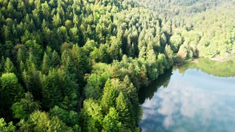 gentle cloud movement is reflected in the deep green-blue water of a river through a wooded area with different colored trees