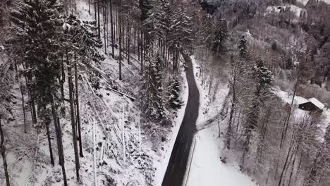 Luftaufnahme-Mit-Einer-Drohne-Von-Einer-Straße,-Die-Durch-Einen-Wald-In-Der-Schweiz-Führt