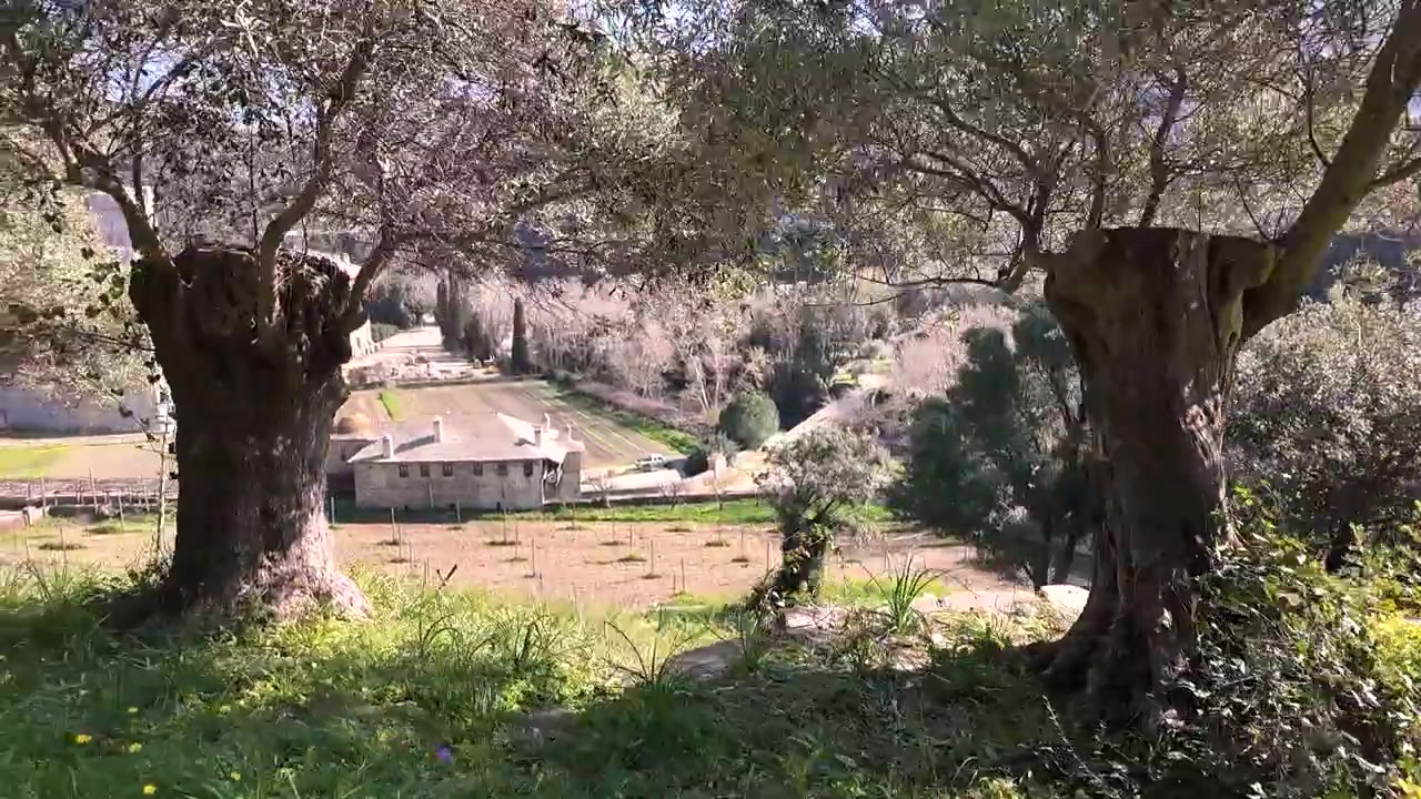 Splendida vista paesaggistica che mostra colline e montagne sullo sfondo sotto cieli azzurri e sereni. Alberi sono presenti in primo piano con alcuni edifici e campi sottostanti