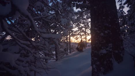 sunset over winter forest