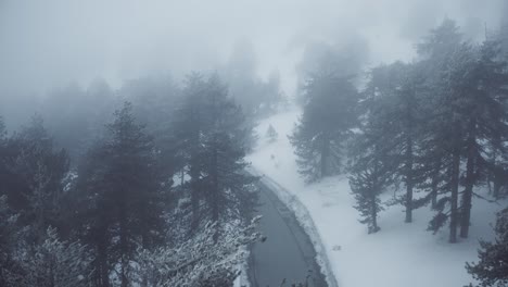 montañas nevadas y bosques de pinos en el mediterráneo