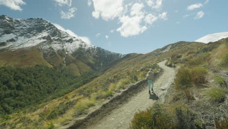 Fit-sportive-woman-hiking-up-steep-Ben-Lomond-track-in-tussock-landscape