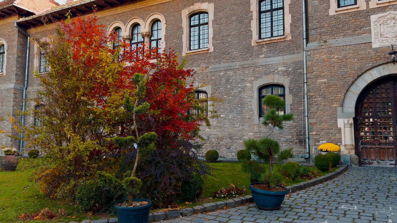 Red, yellow and green trees growing in front of the old building. Unrecognized woman in leather jacket heads to the entrance into the palace.