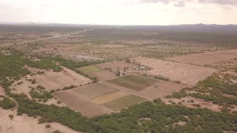 Blick-Von-Einer-Drohne,-Die-An-Einem-Bewölkten-Tag-In-Mexiko-über-Bäume-Fliegt,-Auf-Eine-Plantage