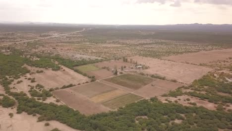vista de un avión no tripulado volando sobre árboles a una plantación durante un día nublado en méxico