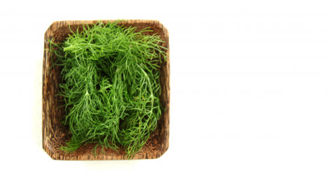 dill herb in wooden tray 4k