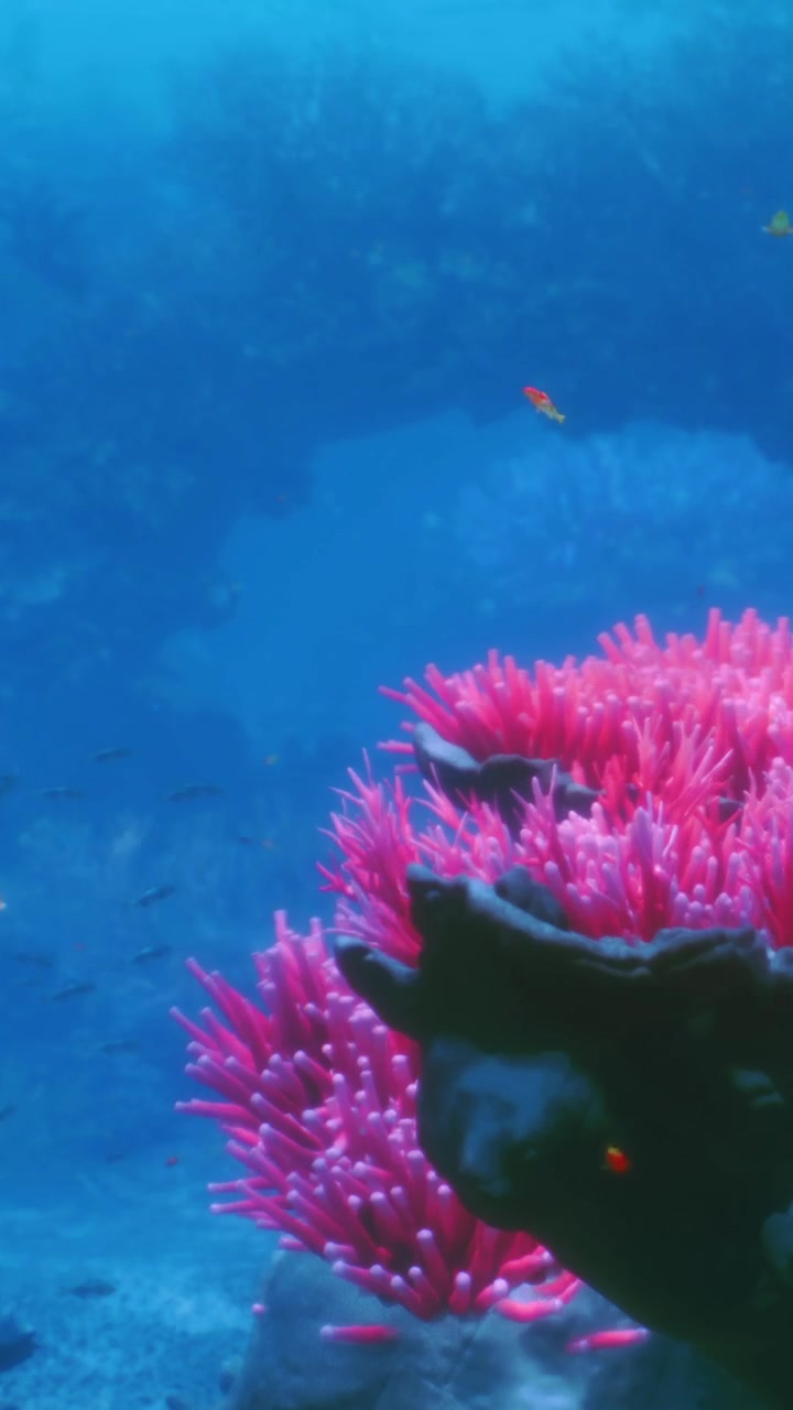 Barriera corallina colorata con piccoli pesci in acqua oceanica limpida durante il giorno.