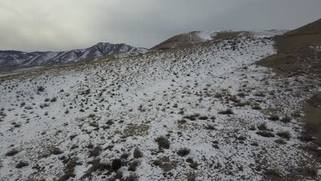 a winter pan up a hillside