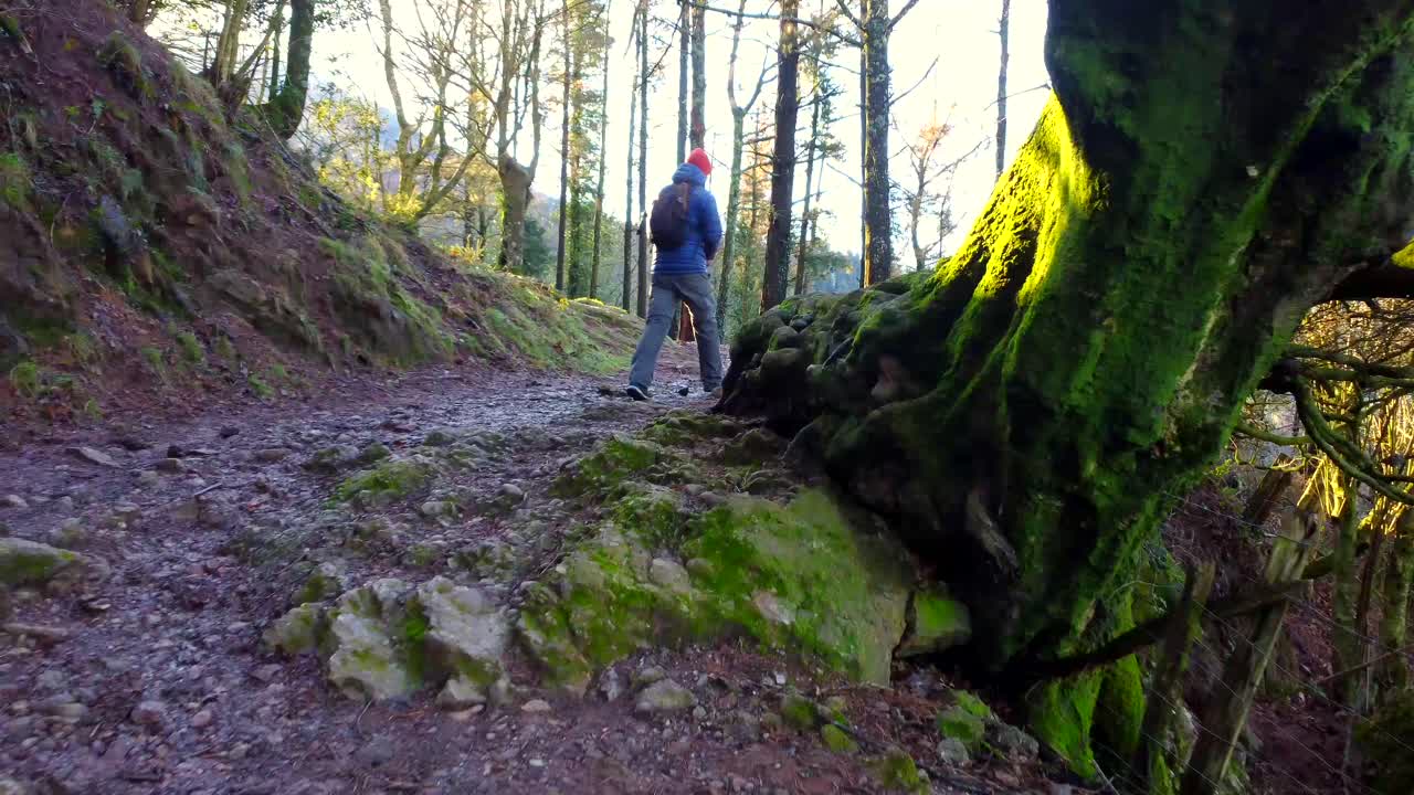 Hiker on a Muddy Forest Path with Sunlight