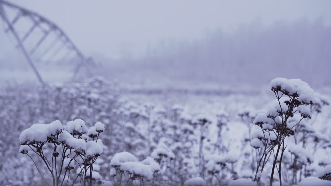 눈보라가 몰아치는 눈보라가 치는 동안 배경에 열린 농장 밭에 중앙 피벗 관개 장비가 있는 농장 식물의 4k 샷