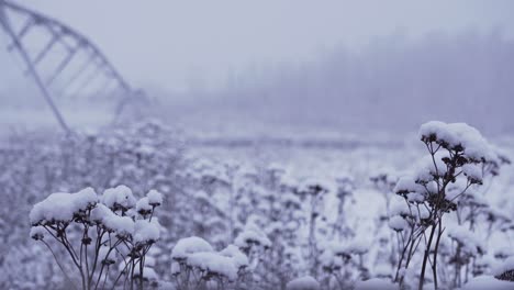 toma de 4k de vegetación de campo agrícola con equipo de riego de pivote central en un campo agrícola abierto en el fondo, durante una tormenta de nieve