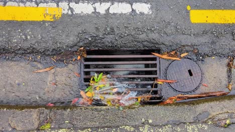 rain water flowing down road curb side drainage into grid during heavy downpour of rainy weather