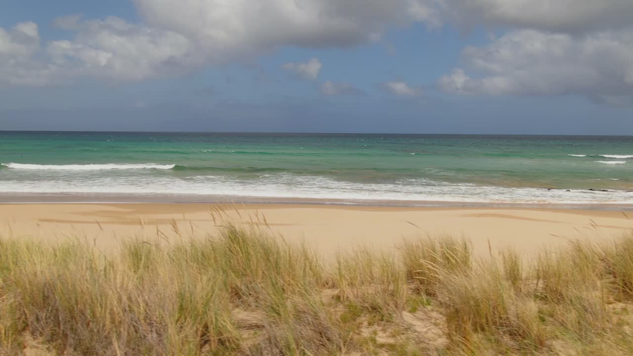 전경에 잔디가 있는 사우스오스트레일리아의 4k 공중 해변 - 왼쪽에서 오른쪽으로 드론 트럭