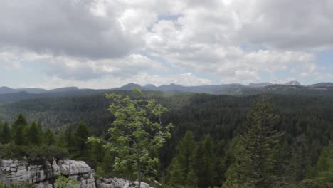 Some-footage-shot-during-a-daily-hike-in-Altopiano-dei-Sette-Comuni,-Veneto,-Italy