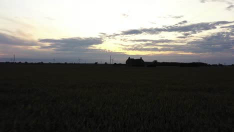 Verlassenes-Haus-Mitten-Im-Maisfeld-Bei-Sonnenuntergang-Niedriger-Annäherungsflug