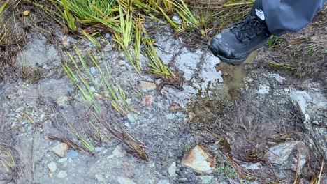 a person navigates a muddy stream in hiking boots, surrounded by lush vegetation, under natural daylight