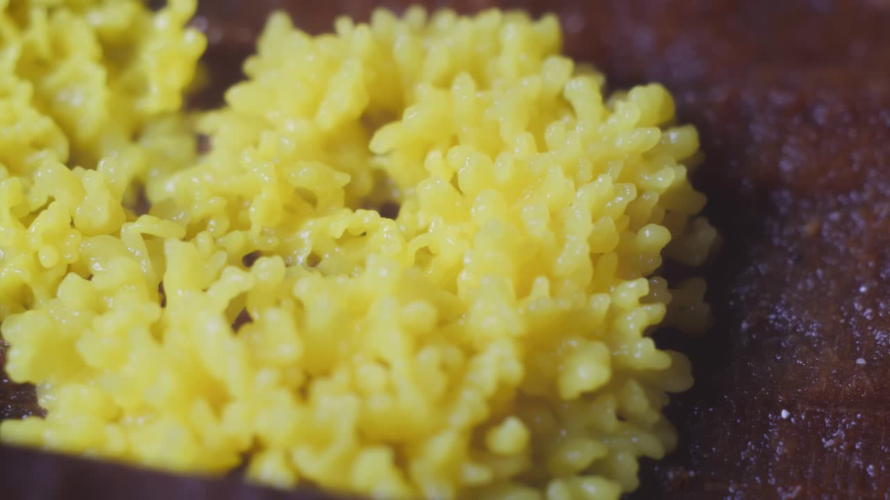 Yellow slime mold plasmodium pulsating motion over rotten wood