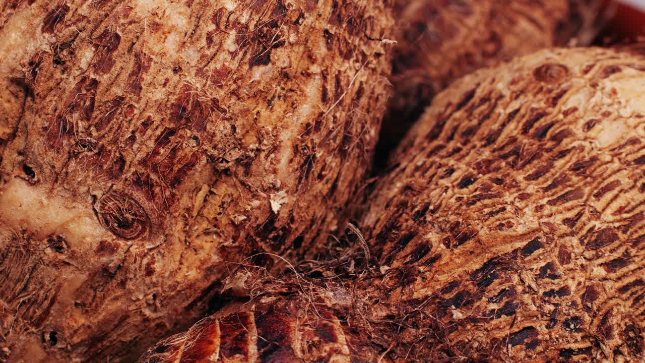 Close up of Taro Roots