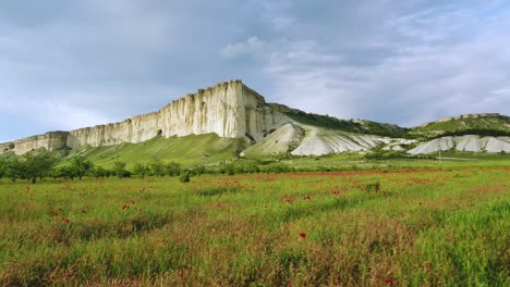 white cliffs and poppy field