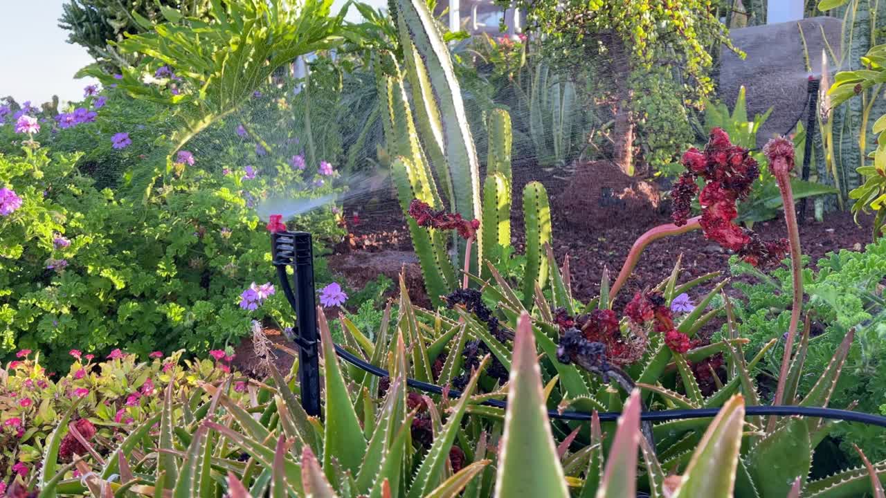 sistema de riego del césped, rociador de césped para regar el césped y las flores.