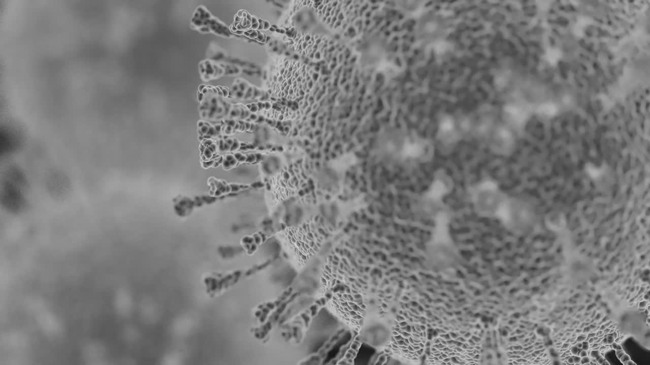 Black and white 3d simulation of corona virus. Artistic rendering of electron microscope visualization