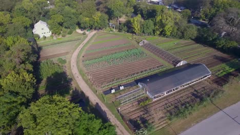 aerial: 360 ascending view of a working vegetable farm in austin, texas