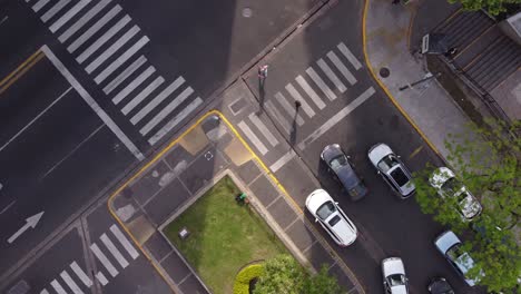 view of an unskillful juggler not able to control the clubs on the zebra crossing in the streets of buenos aires