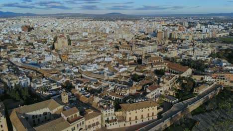 Palma-Blick-Nach-Vorne-Mit-Drohne