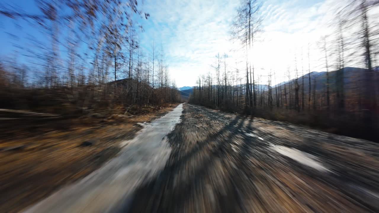Driving on a snowy road through a winter forest