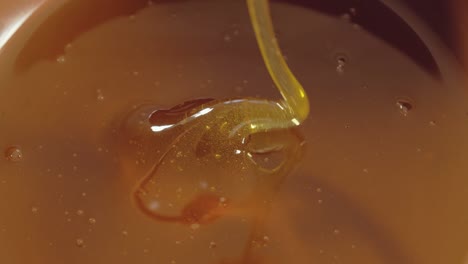 a plate of honey with a wooden stick, close-up. organic product, healthy food