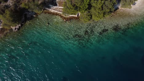 overhead shot of a wild shore of brac, croatia where the turquoise water meets the shore