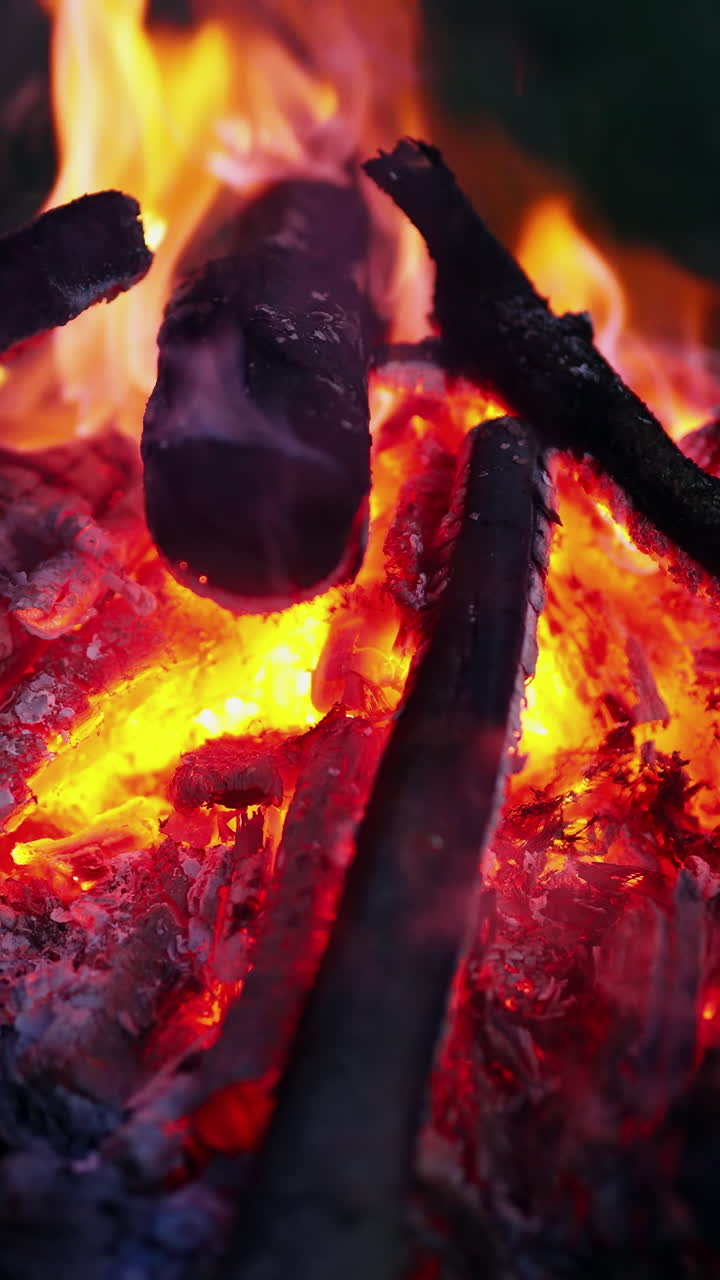 Beautiful bonfire on dark background. Red and yellow flame with smoldering logs at night. Romantic campfire in summer evening. Close-up. Vertical video