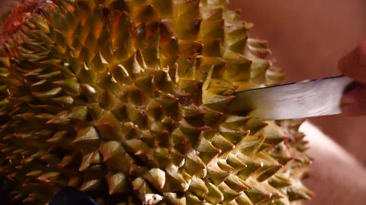 Hand use Knife to cut Durian Fruit Open, Close Up