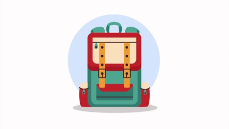 stylish red and green backpack