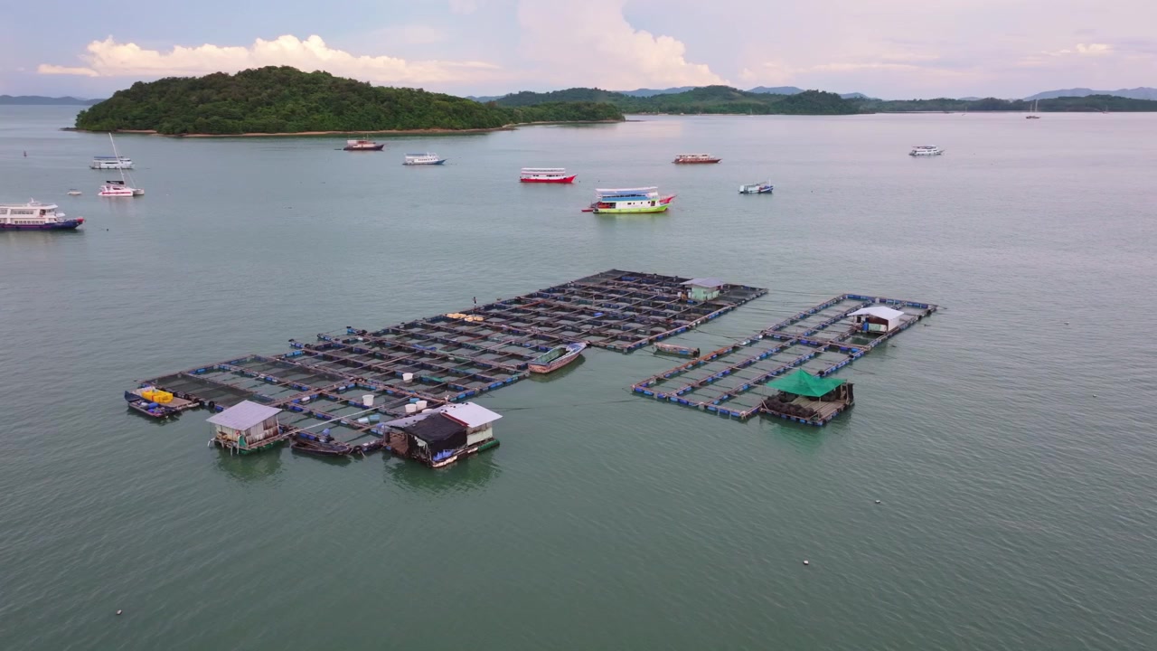 Pemandangan udara drone 4K peternakan ikan akuakultur terapung dan perahu yang berlabuh di Ao Po Phuket dengan latar belakang pulau-pulau, Thailand.