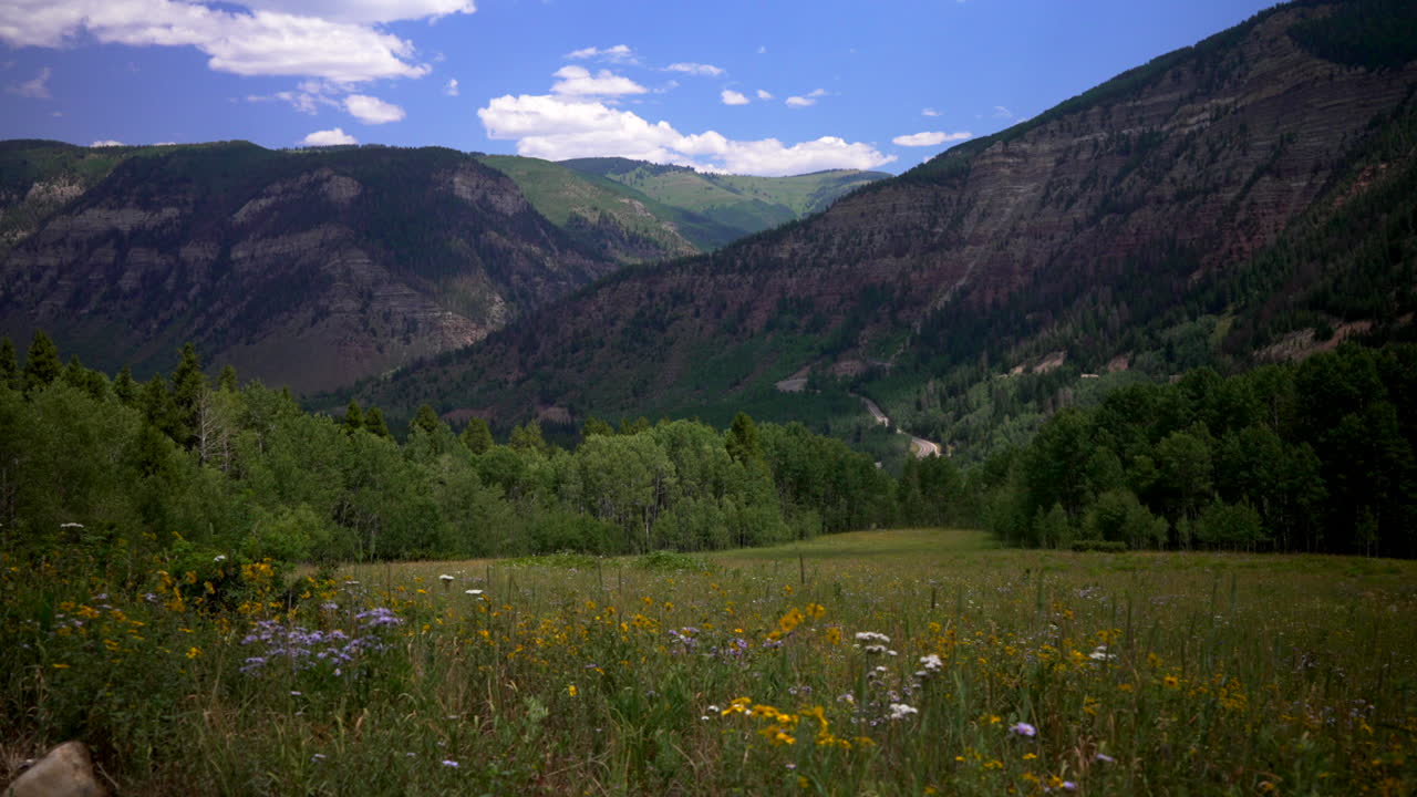 Redcliff Minturn Mount Holy Cross Half Moon Pass Wilderness vibrant wildflowers aerial drone Colorado summer Vail Avon Gore Range Rocky Mountains blue sky morning pine trees aspen groove pan left