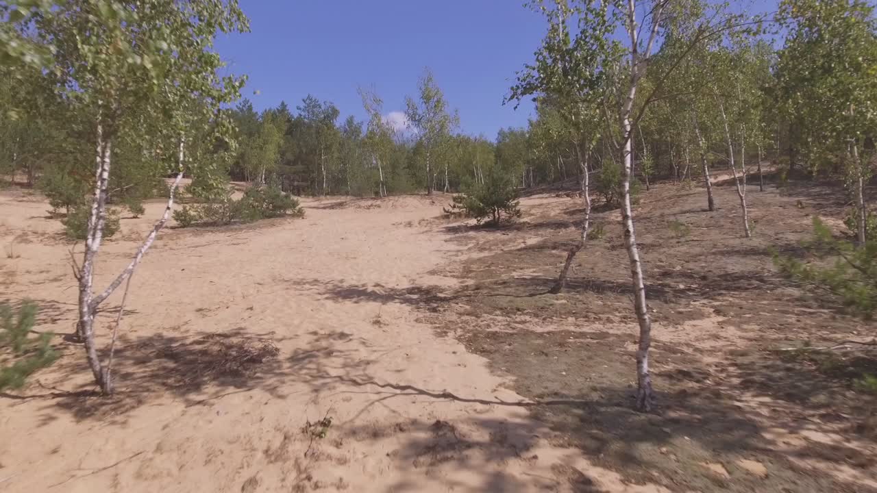Bartkuskio Kopa Sand Dune in the Middle of the Forest. Aerial Low Flying Forward