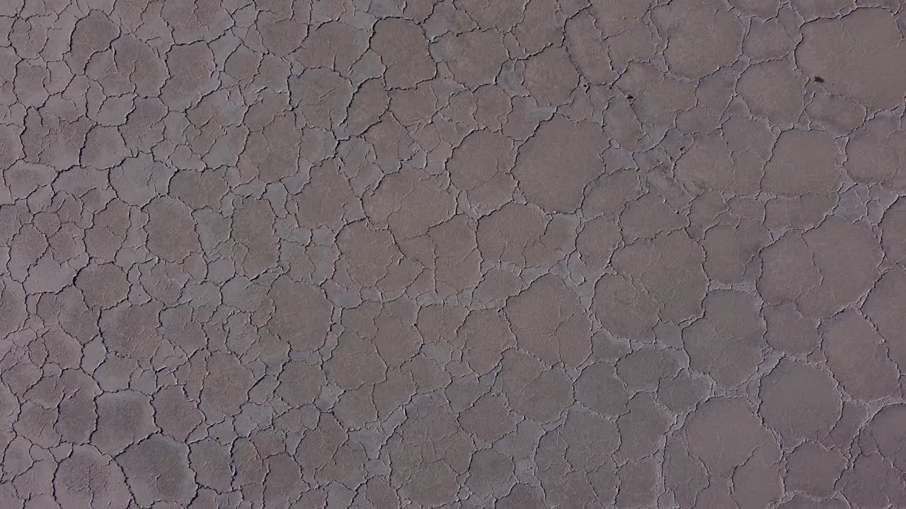 Cracked Dry Earth Texture