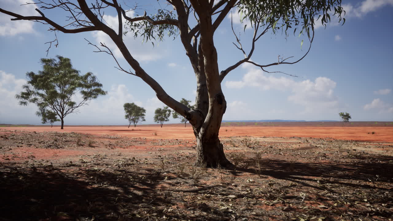 아프리카 의 나무 와 함께 아름다운 풍경