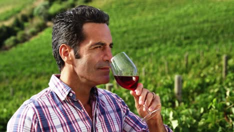 man smelling red wine in the grape field