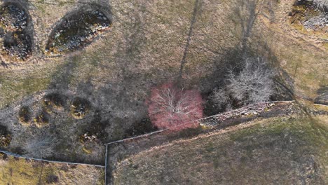 AERIAL---Farm-fields-and-stone-piles-in-Smaland,-Sweden,-wide-shot-top-down