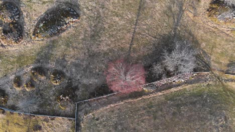 antena - campos de cultivo y pilas de piedra en smaland, suecia, tiro amplio de arriba hacia abajo