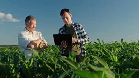 farmers reviewing cornfield data