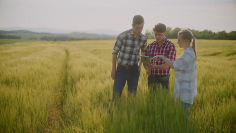 three farmers talking in farm field using digital tablet