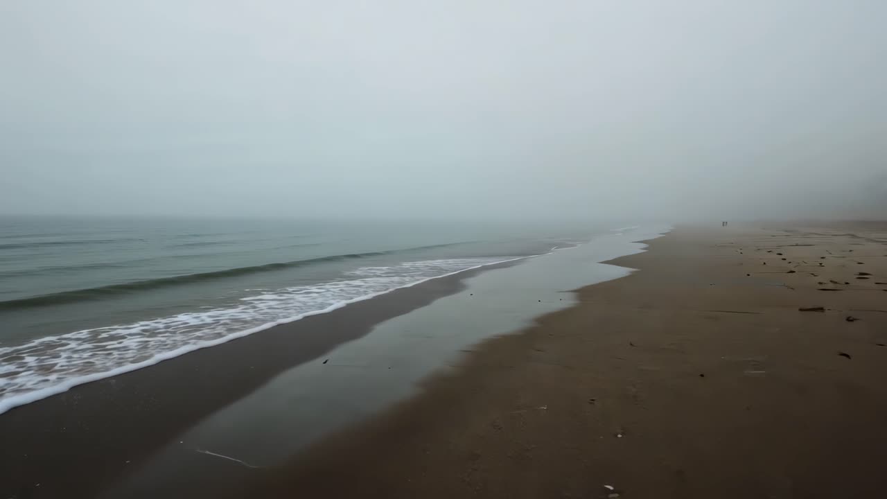 escena de playa con niebla