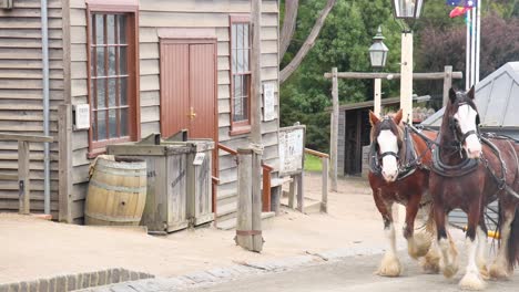 horse-drawn carriage in a historic village