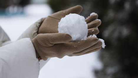 person playing with snow